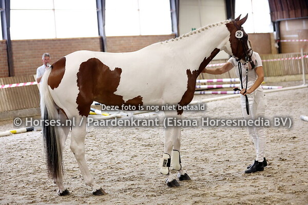 29 Show-Bresco(Visage bd Olmenhoevbe x O-Nresco v. Calvaro)