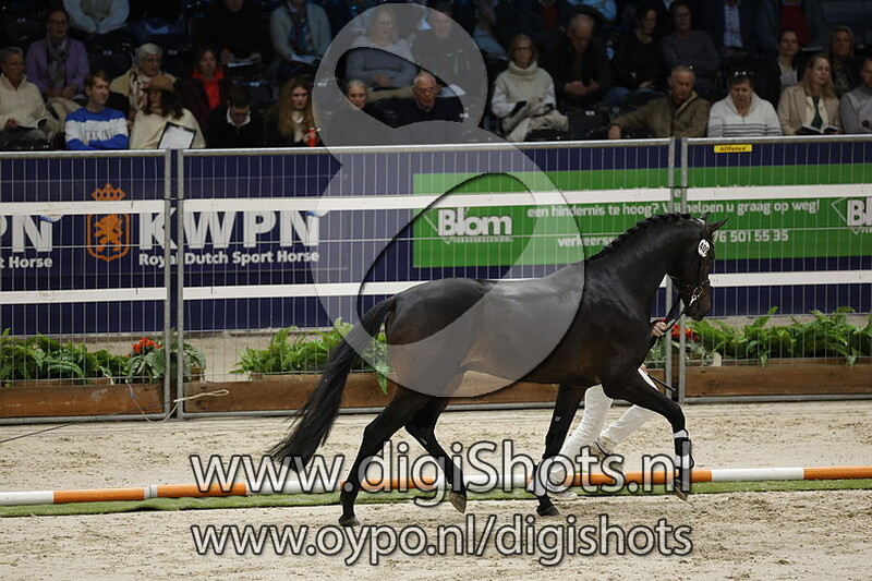 Rossignol Swing v. Jameson Rs2 - 409