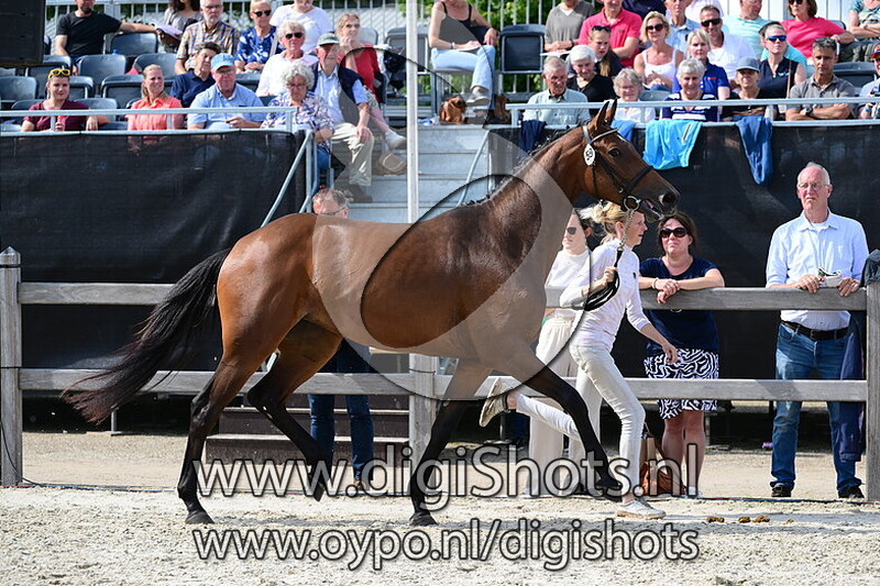 Revanorella vd Watermolen - 059