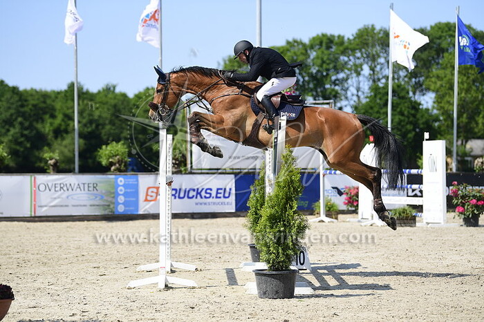 Morten Djupvik - Lexus