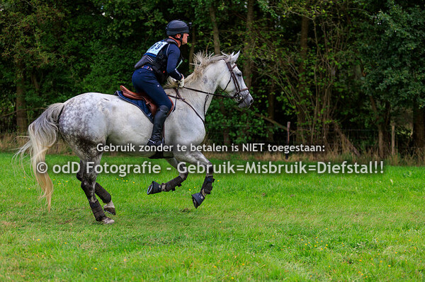 sgw bollert brons veteranen 13-09-25