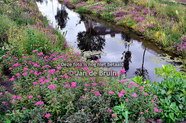 Ronde van Groot-Ammers 14-06-2025