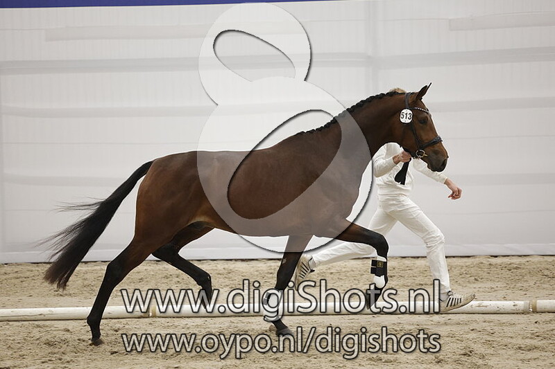 Panamera EPJ v. Revolution - 513