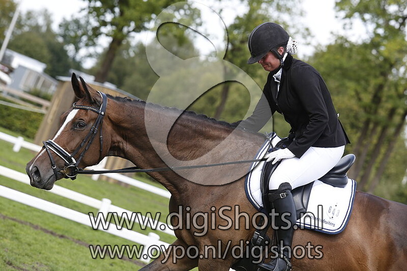 M2 paarden dressuur Ring 4