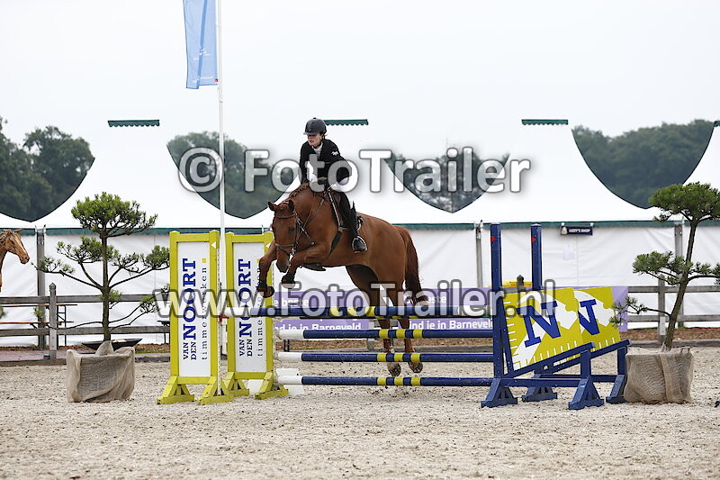 Gerdina van der Hout