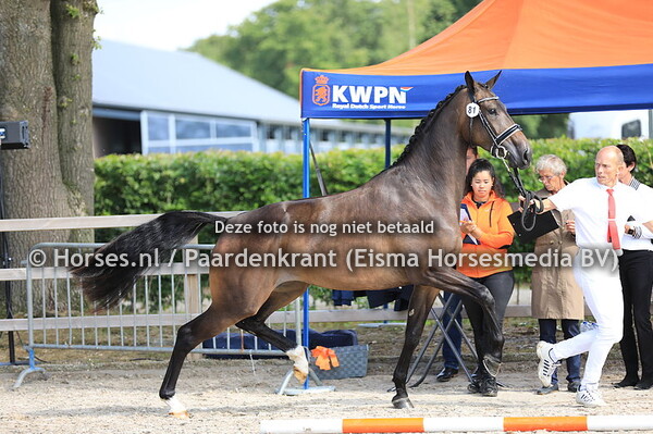 81 Louisiana VDP v Glock's Toto