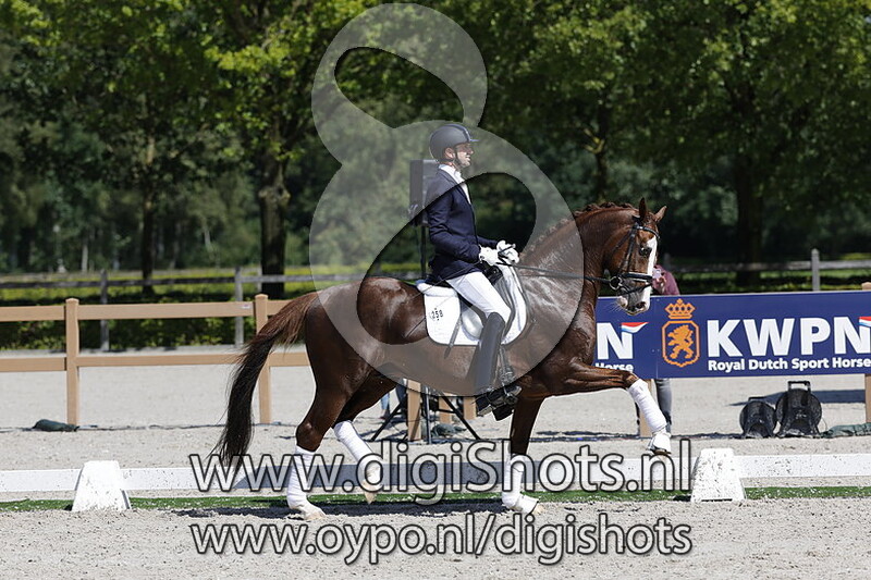 Napoli Sollenburg Drost Horses