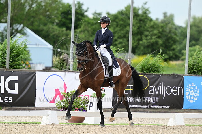 Romee van Paassen - Navarro