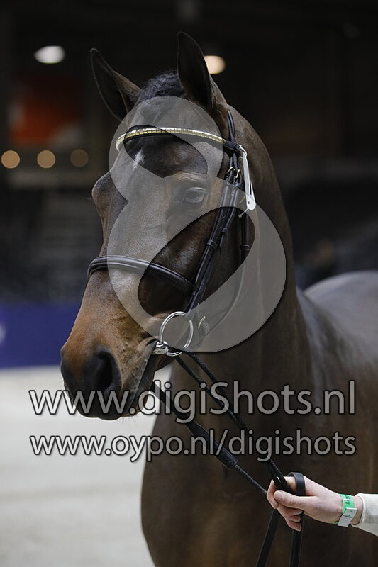 Look a Like Twiggy BB v. Connect