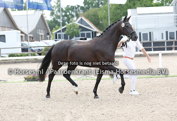 67 Mydora (Bordeaux x Zandora v. Jazz)