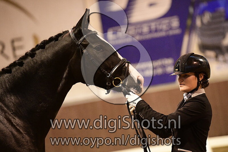 Remember Me van de Hondsbossen