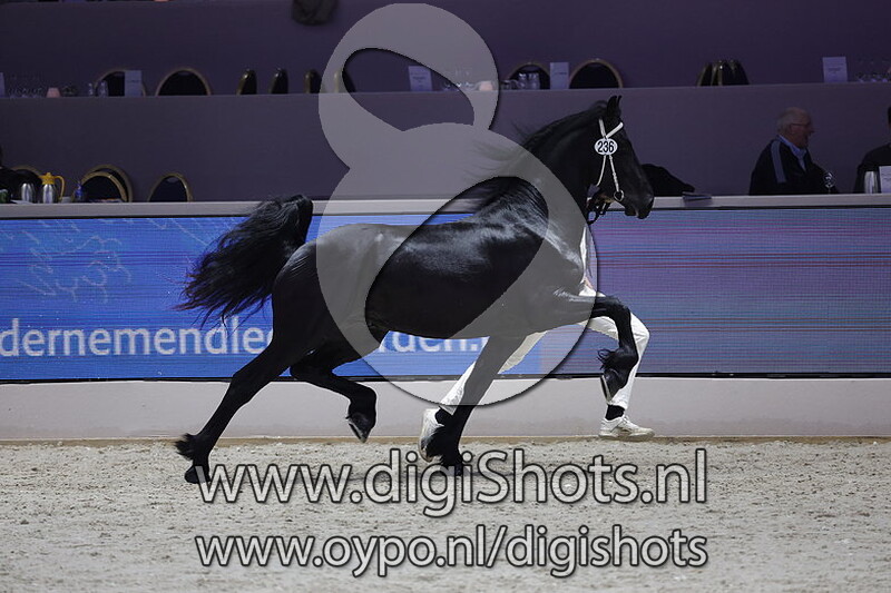 Rienk fna de Kadyk 236 v. Auwert 514