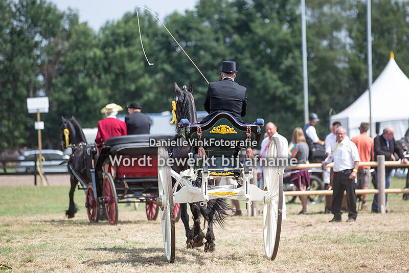 Veelzijdige friese paard