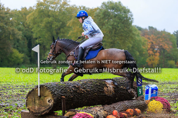 Eventing Barchem paard L pony M 25-10-25