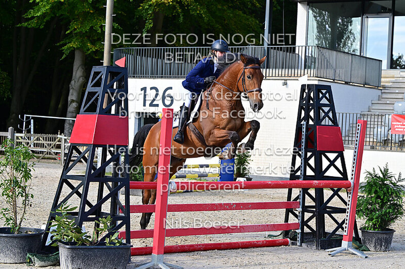 17 Paarden 100 cm - rijstijl zonder barrage