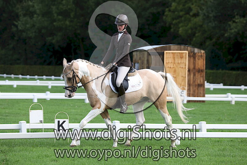 Ring 8 Dressuur L1 cat DE