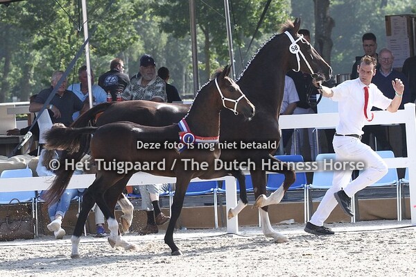 Kampioenen NMK en NVK 2021