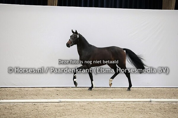 421 Nadal (Furst Romancier d Beaubelle v. Krack C)