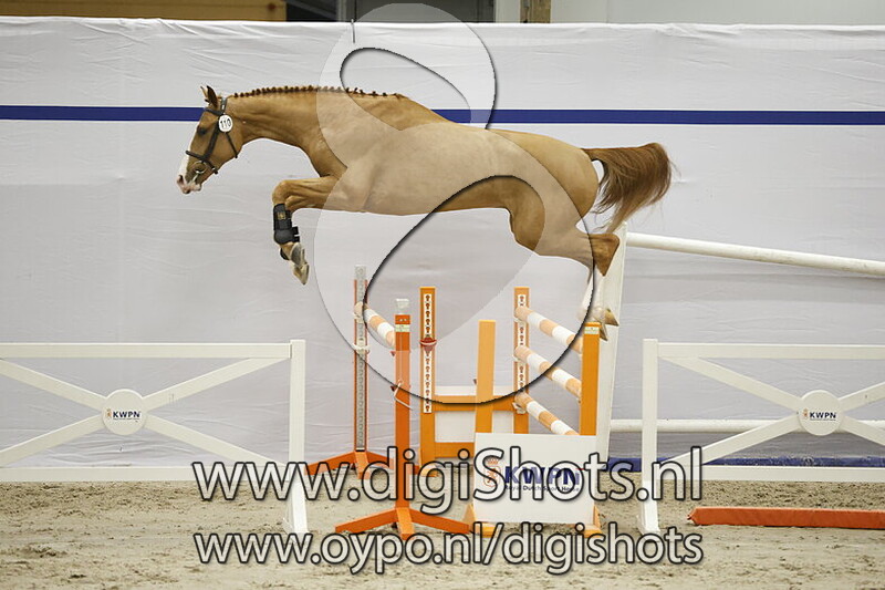 Sharif II S v. Latif