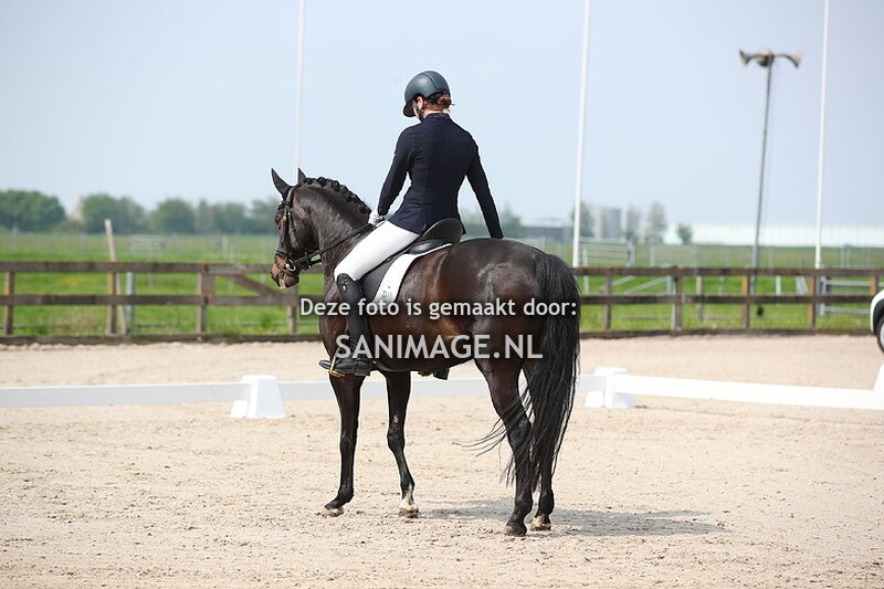 Reigersburgh 10-05-2024 Dressuur Ring 2 ZZL/Z1