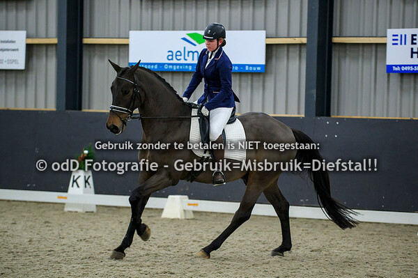 Dressuur PSV Nederweert B Paarden 11-12-21