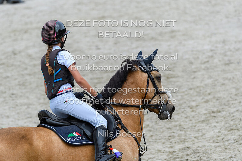 3 Ponys Klasse 110-120cm