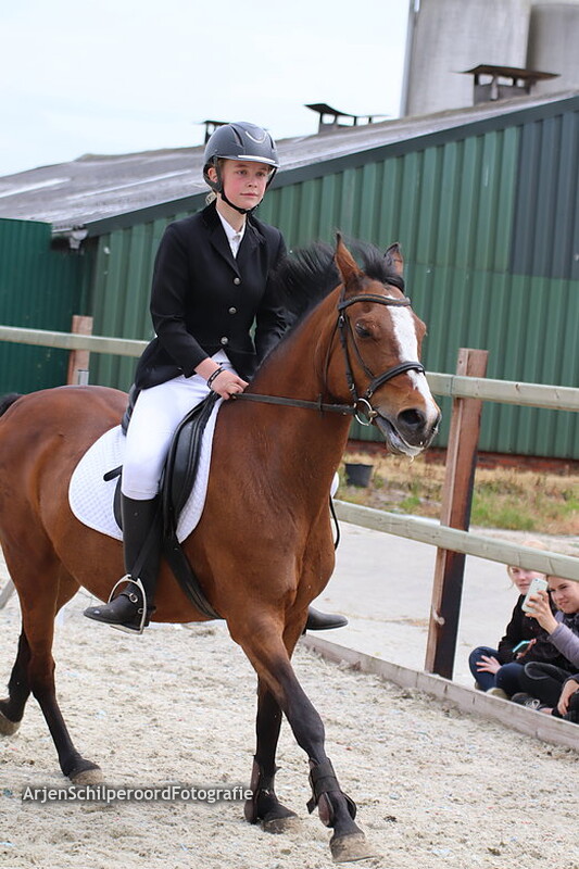 Hippisch Festijn PSV Polarfürst 26-05-2019 B DE 2e