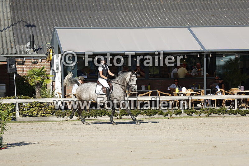 mischa everse van de kraats