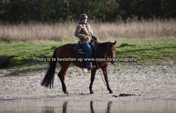 2-11-2024 DrentsFriese Woud