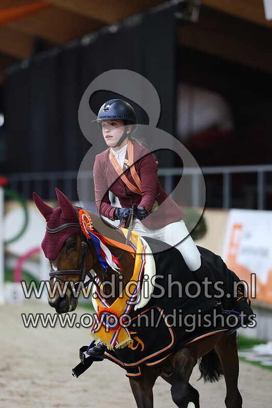 Diamond Hits Beauty H