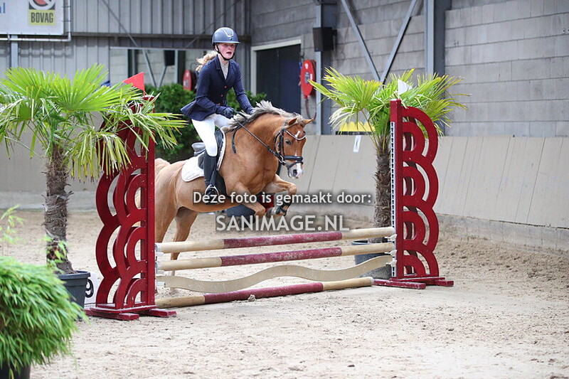 Zilfia's Hoeve Springen Pony's 26-10-2025 60 cm