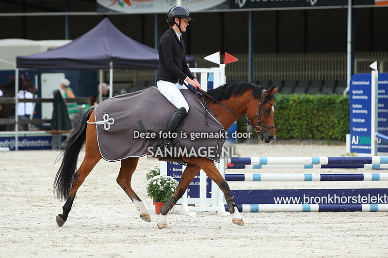 New Forest Pony Sportdag 20-09-2025 Huldiging prestatiepony's en ambassadeur