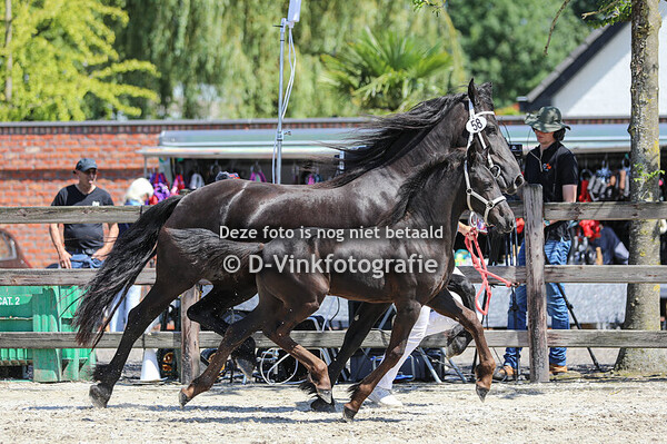 58. Chielke van de Berkenheg