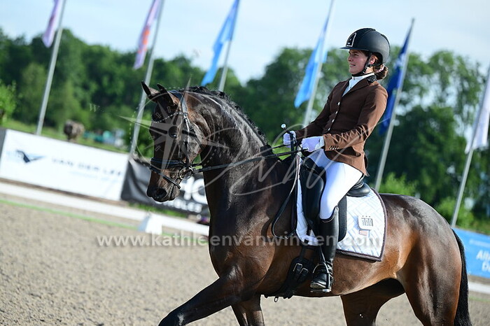 Jeanine Krol - Renvillia