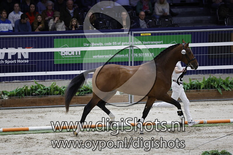 Respect L v. So Perfect - 509