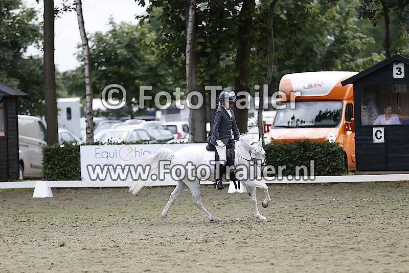 Niet leesbaar schimmel