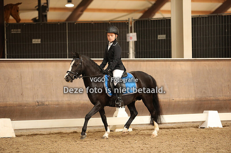 Dressuur & springen 11.00-13.00 uur