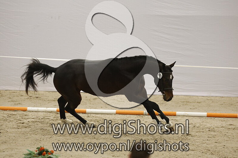 Splinter DHF v. Nirvano