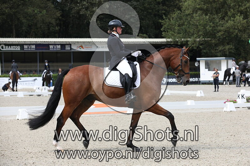 Ring 3 Klasse M2 Paarden vanaf 12.30