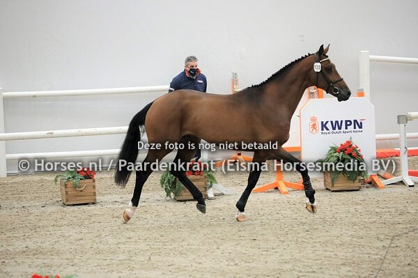 128 New York (Ice Breaker x E.Tygerlilly v. Lucky Boy)