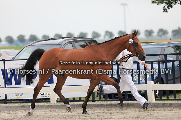 109 Gyöngy v Eldorado vd Zeshoek