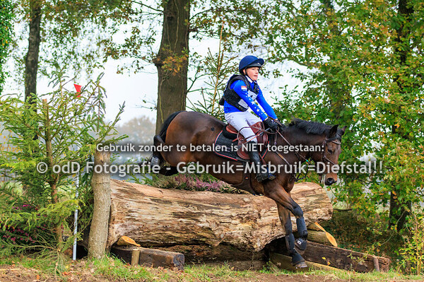 Eventing Rekken Paard L Pony M 09-11-24