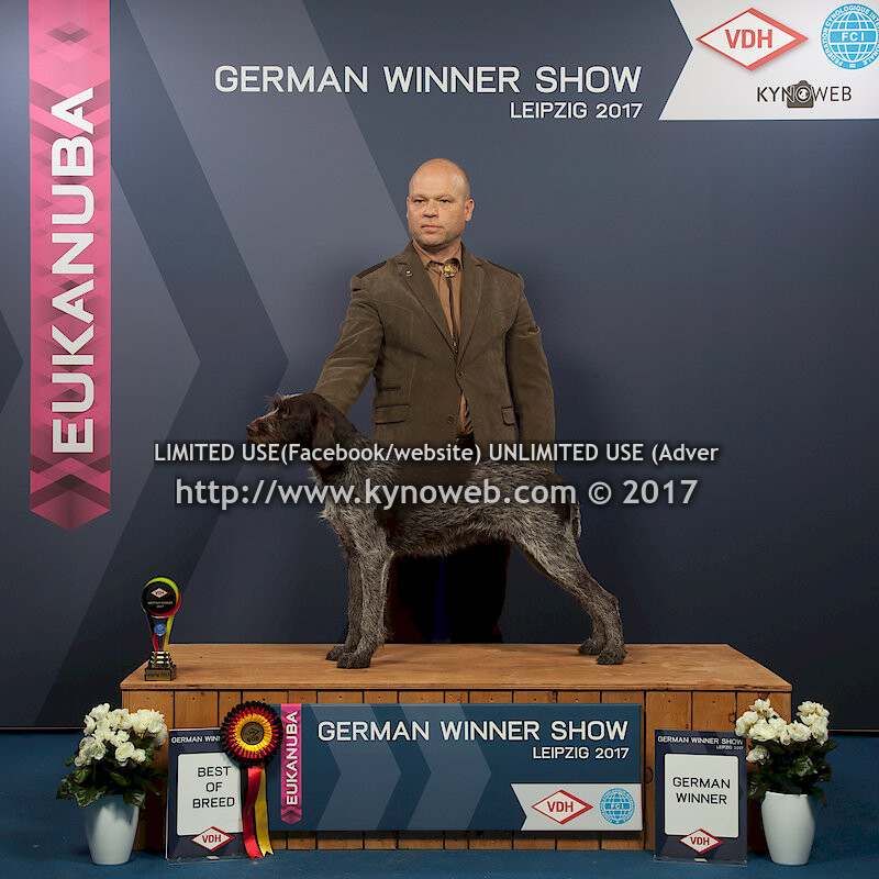 BOB / FREE / EXPRESS