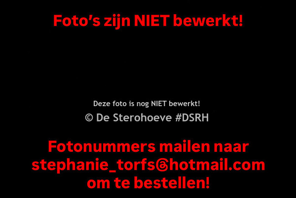 4. DRESSUURVEULENS MANNELIJK