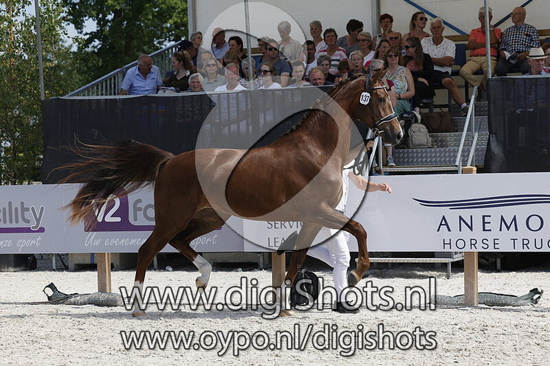 Parina v. Don Olymbrio