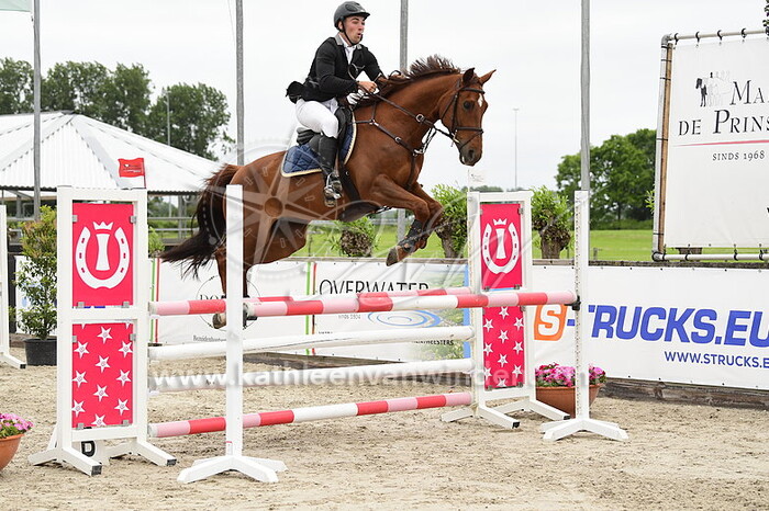 Quinten van Daele - Big Dream DMH Z