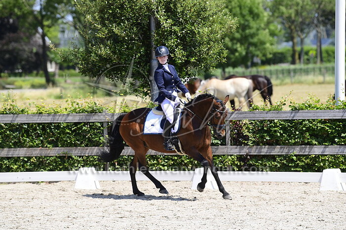 Maud van Grondelle - Itunes