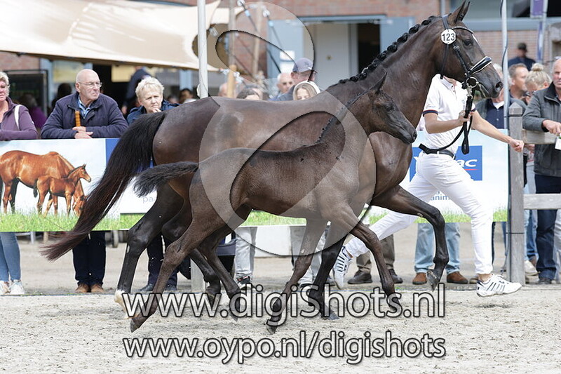 Versace Style v. Furst Toto