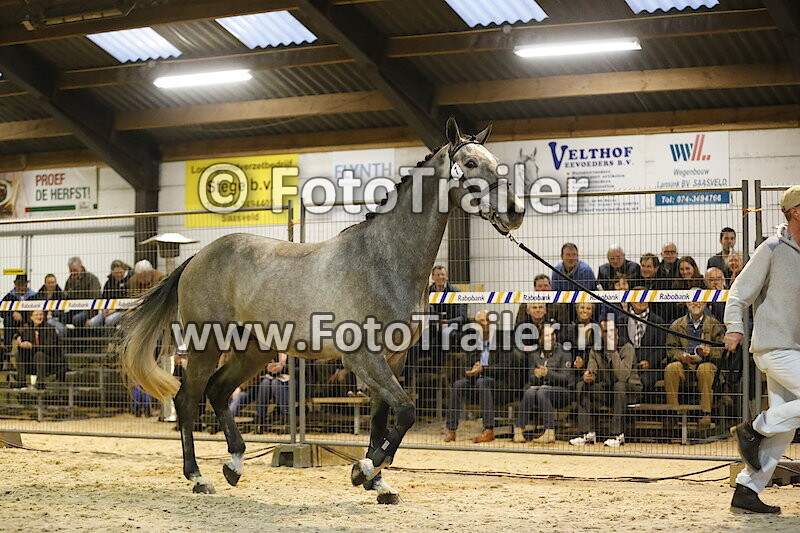 Prijsuitreiking 4 Jarigen