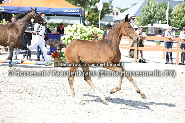 156 One and Only (Just One x Future Promise v. Unaniem)